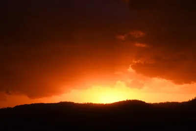 DSC_4575 (Large).JPG